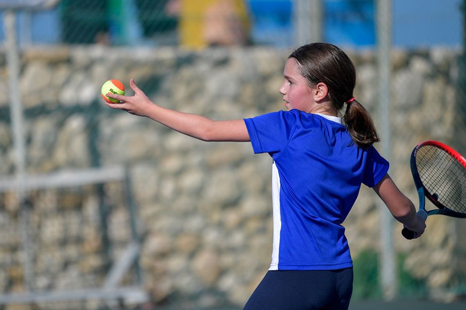 גלריית תמונות סבב ג'וניורס – צפון